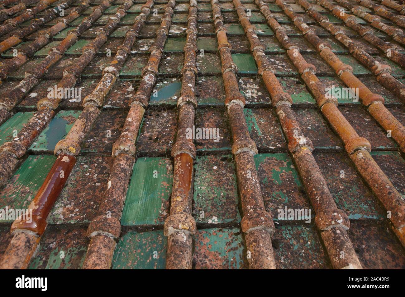 Antiche tegole dalla Sicilia. Vista frontale Foto Stock