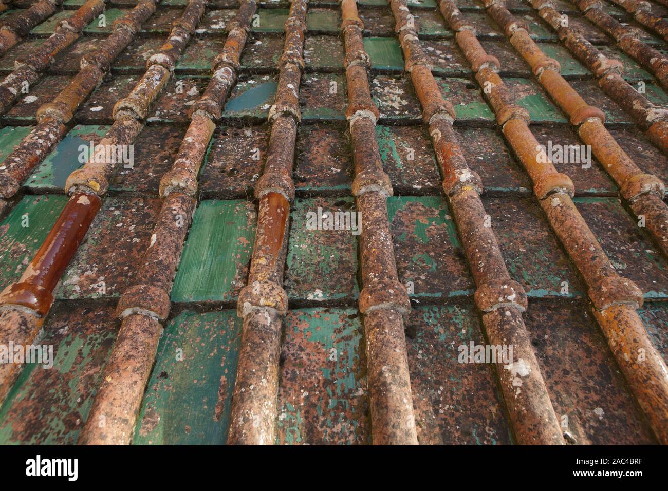 Antiche tegole dalla Sicilia. Vista frontale Foto Stock
