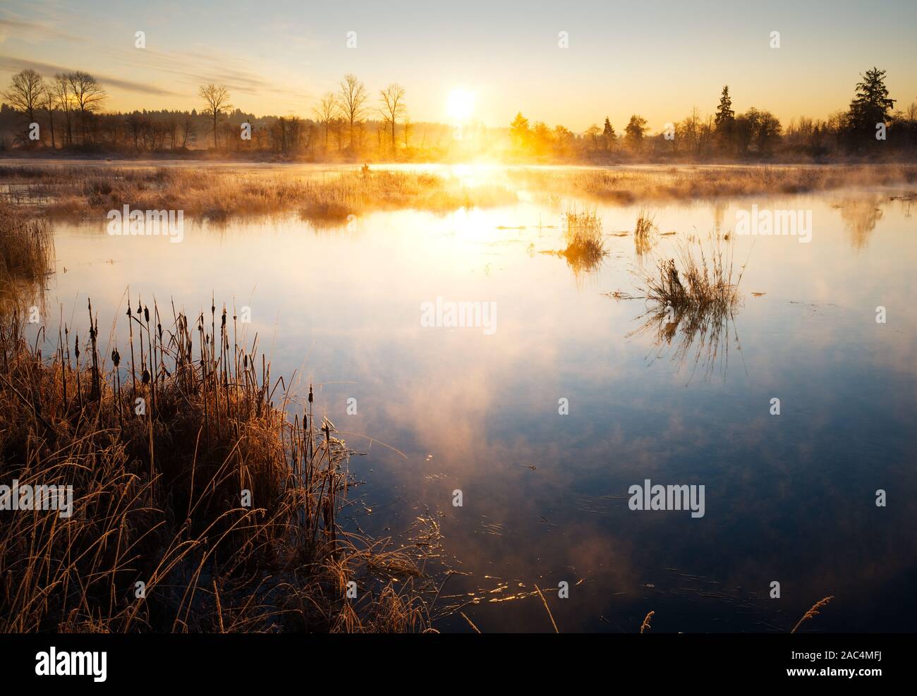 Sole sorge su maree wetland, Spencer Isola, Snohomish Paese Parchi e Ricreazione, Everett, Washington Foto Stock