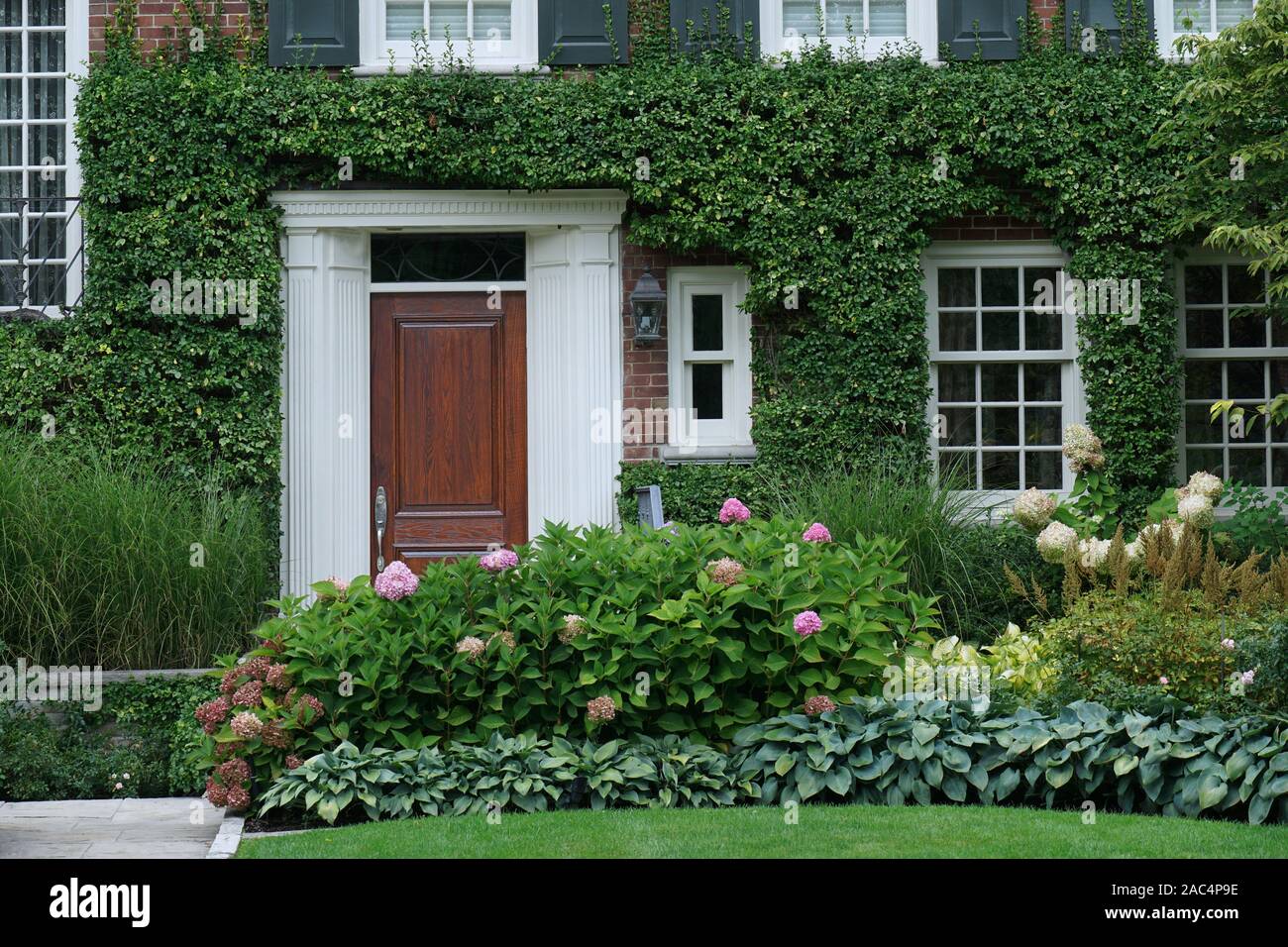 Davanti la porta di casa circondata dal verde delle vigne e di rosa fiori di ortensie Foto Stock