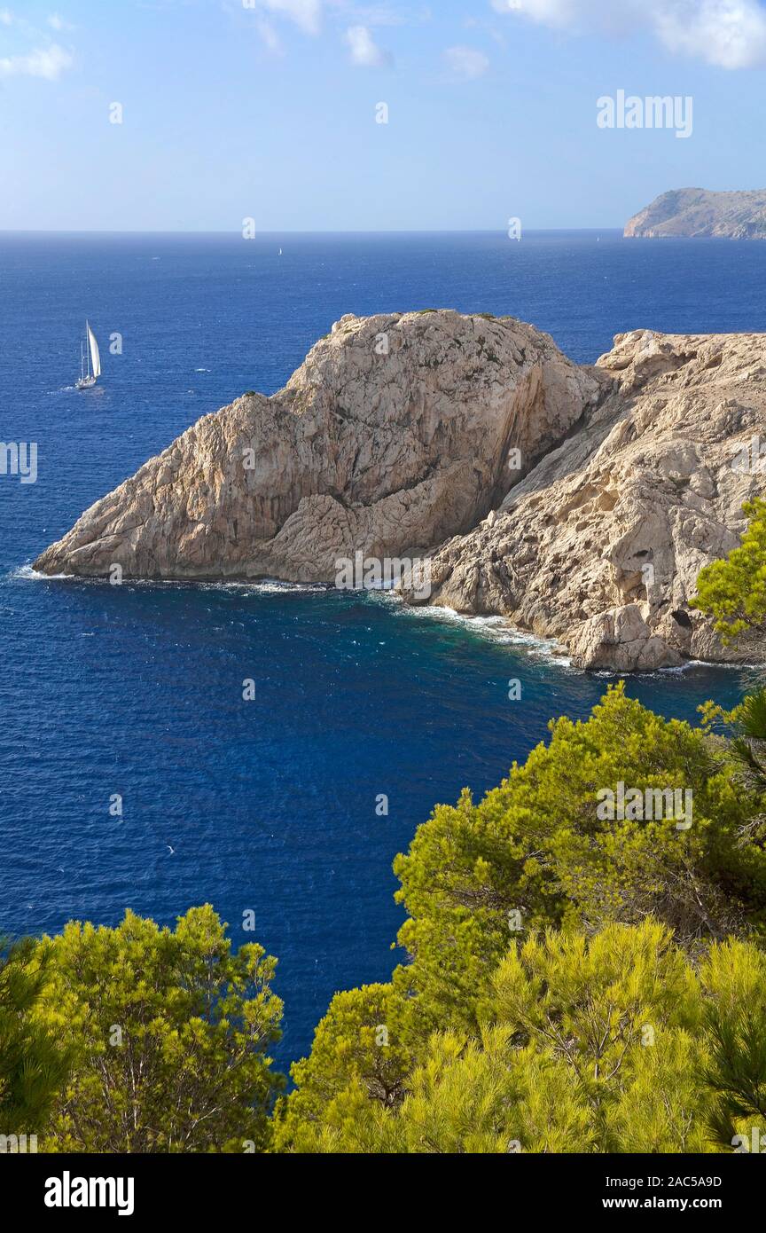 Costa rocciosa a Cala Ratjada, Maiorca, isole Baleari, Spagna Foto Stock
