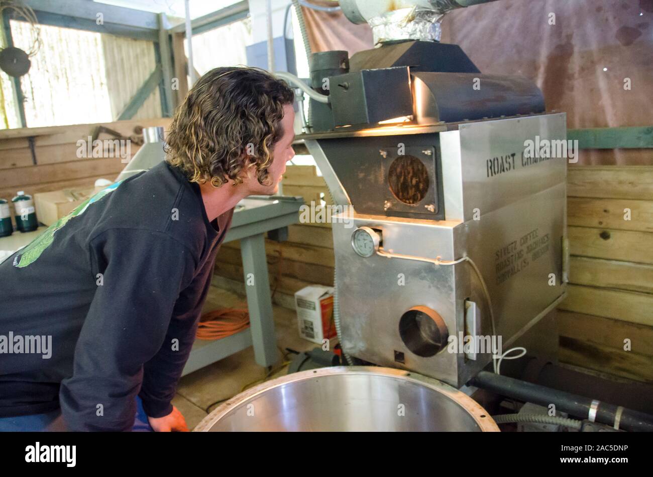 Titolare di azienda Kaleo controllo sul processo di tostatura, Kaleo's Koffee, area Hamakua, Big Island. Foto Stock