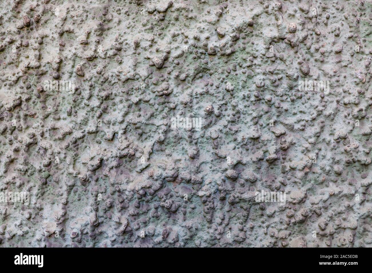 Vista del muro grigio texture, vuota per i progettisti Foto Stock