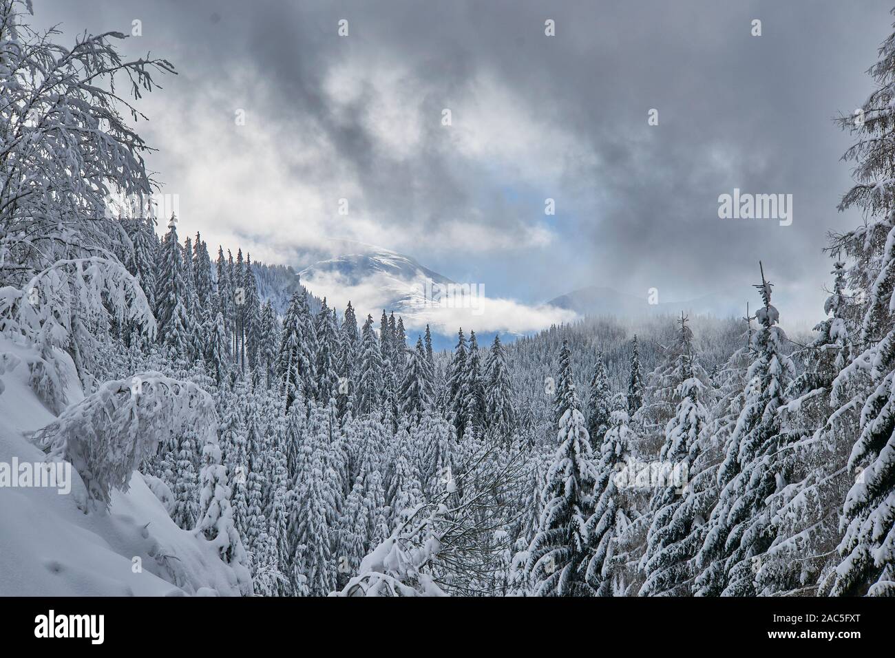 Paesaggio invernale da montagna con bosco di abeti, la neve e il cielo blu con nuvole Foto Stock