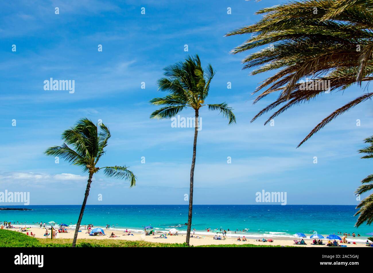 Per coloro che godono di una posizione soleggiata giornata al Hapuna Beach, lungo costa Kohala della Big Island. Questa spiaggia di sabbia bianca è stata considerata una delle migliori spiagge del Foto Stock