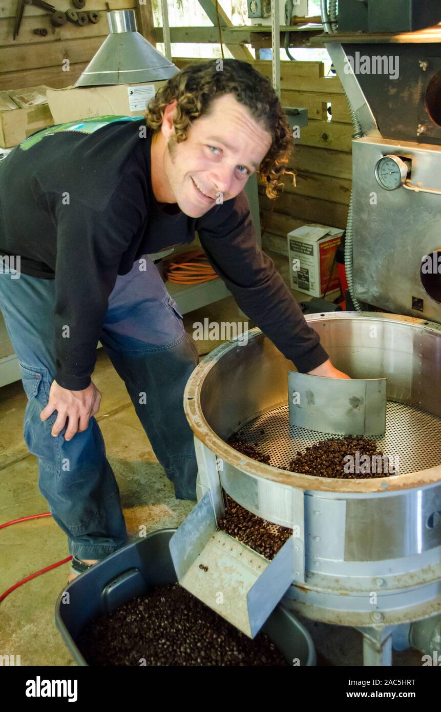 Proprietario Kaleo trasferimento raffreddato i chicchi di caffè nel contenitore, Kaleo's Koffee, Pua'a Kea Farm, Pa'auilo, Big Island. Foto Stock