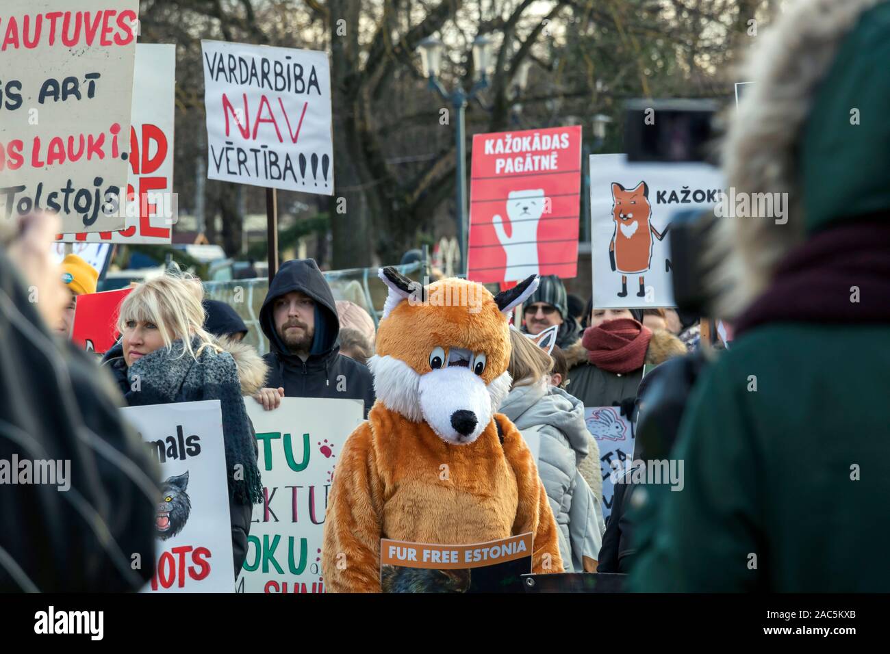 Riga, Lettonia - 30 Novembre 2019 : un uomo in una tuta di Fox è in possesso di un poster e Anti Fur manifestanti fuori con nessun banner di pelliccia a diritti degli animali protesta Foto Stock