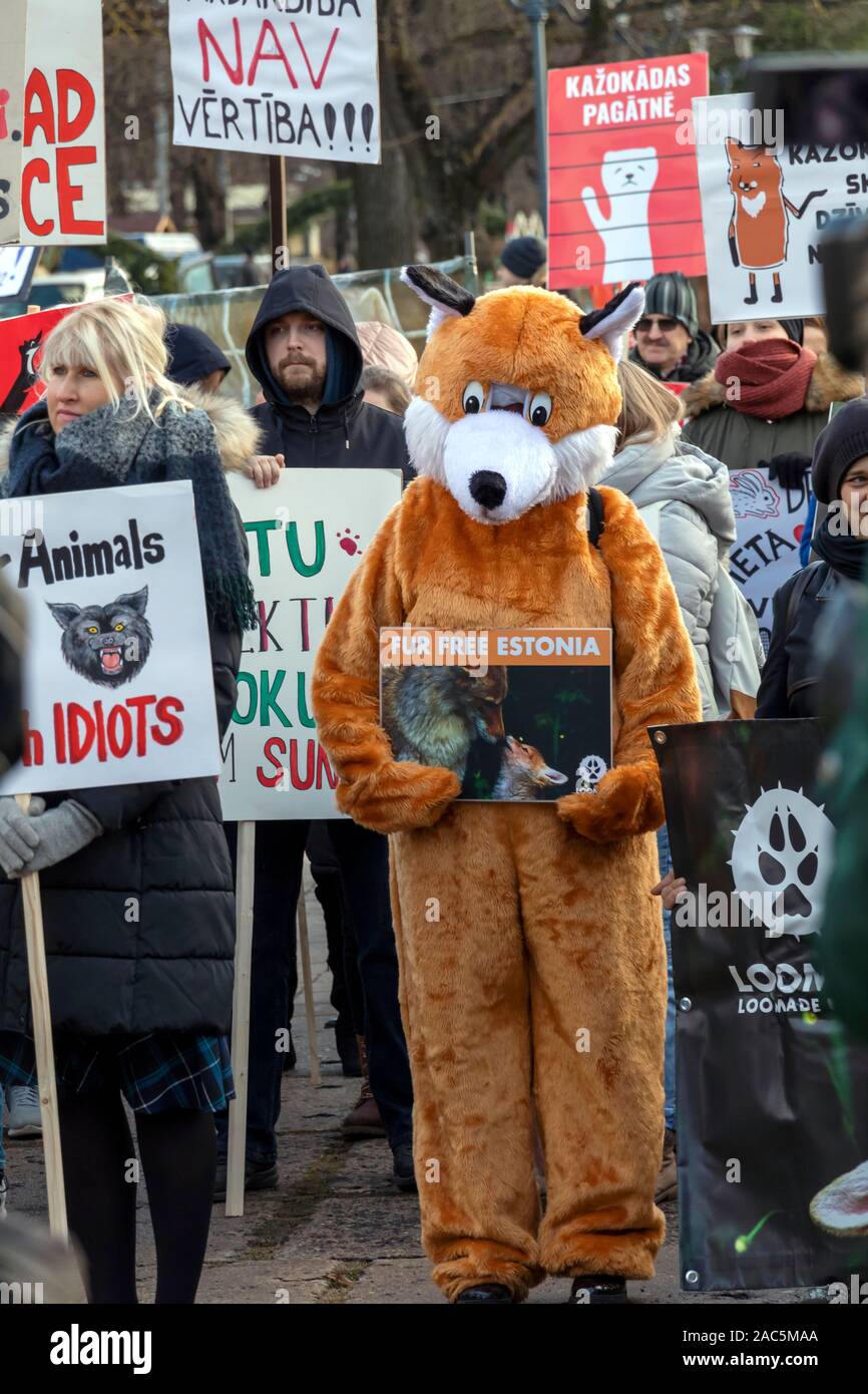 Riga, Lettonia - 30 Novembre 2019 : un uomo in una tuta di Fox è in possesso di un poster e Anti Fur manifestanti fuori con nessun banner di pelliccia a diritti degli animali protesta Foto Stock