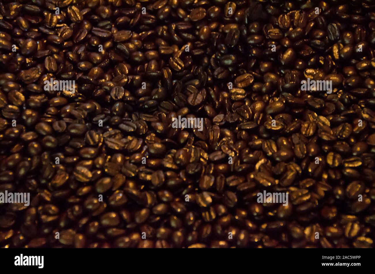 Caffè torrefatto in grani nel processo di raffreddamento, Kaleo's Koffee, Pua'a Kea Farm, Pa'auilo, Hamakua Coast, Big Island. Foto Stock