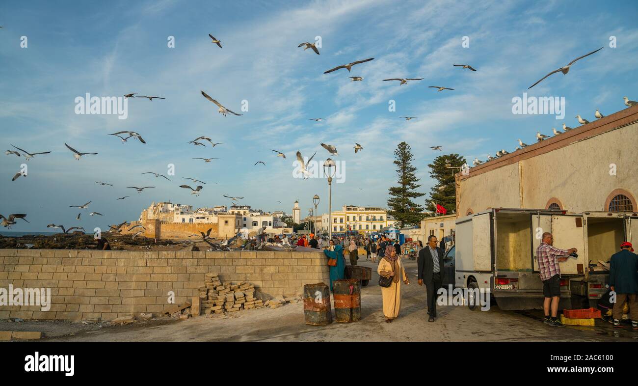 Essaouira mercato del pesce Foto Stock