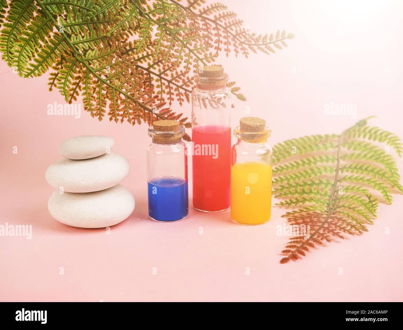 Fiori ed estratti di piante o profumo in piccole bottiglie su sfondo rosa. Tre piccole bolle con liquido rosso blu e giallo, il concetto di Foto Stock