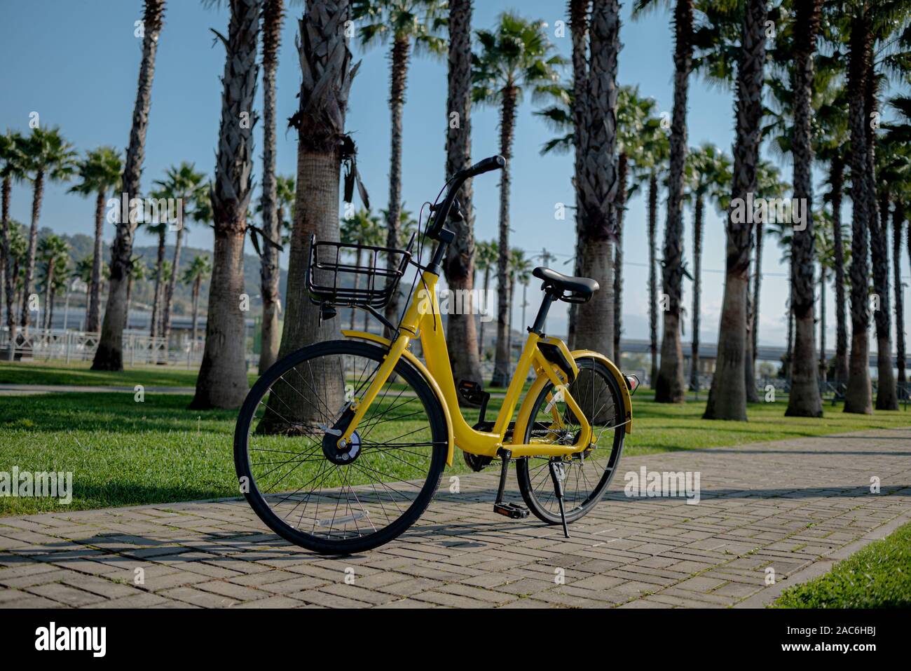 Giallo Nero bici ruote prodotto palme il ritmo del sole estivo calore foto promozionali. Foto Stock