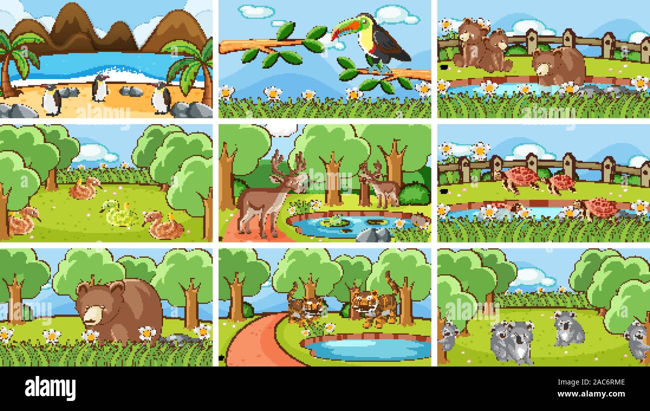 Scene di sfondo di animali selvatici in illustrazione Illustrazione Vettoriale
