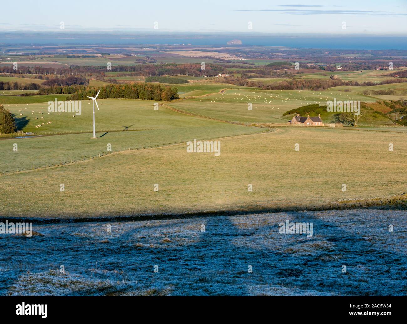 Lammermuir Hills, East Lothian, Scozia, Regno Unito. 1 dicembre, 2019. Regno Unito: Meteo dopo una fredda notte il paesaggio di brughiera è coperto di brina con la temperatura intorno al congelamento su una bella e soleggiata giornata invernale con lunghe ombre proiettate dal Sole. Vista di East Lothian agricolo di paesaggio agricolo guardando verso il Firth of Forth con una turbina eolica Foto Stock