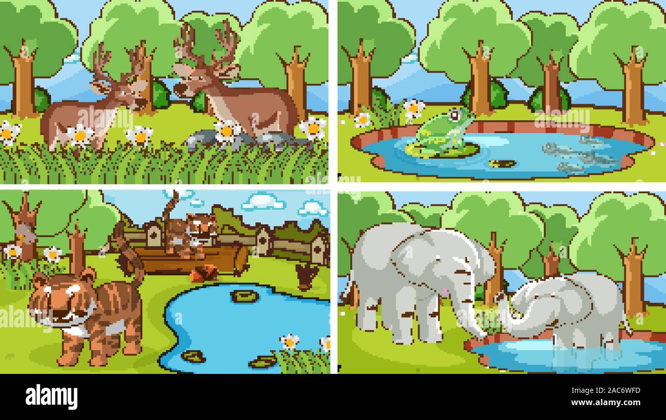 Scene di sfondo di animali selvatici in illustrazione Illustrazione Vettoriale