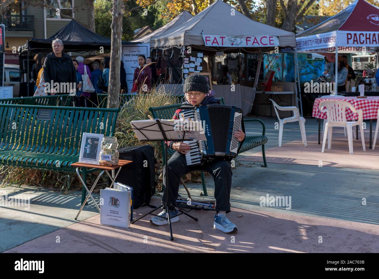 Davis, California, Stati Uniti d'America. Il 2 novembre 2019. Intrattenitore accordion giocatore giocare presso il locale mercato degli agricoltori nei pressi della food court. Il Davis gli agricoltori ma Foto Stock