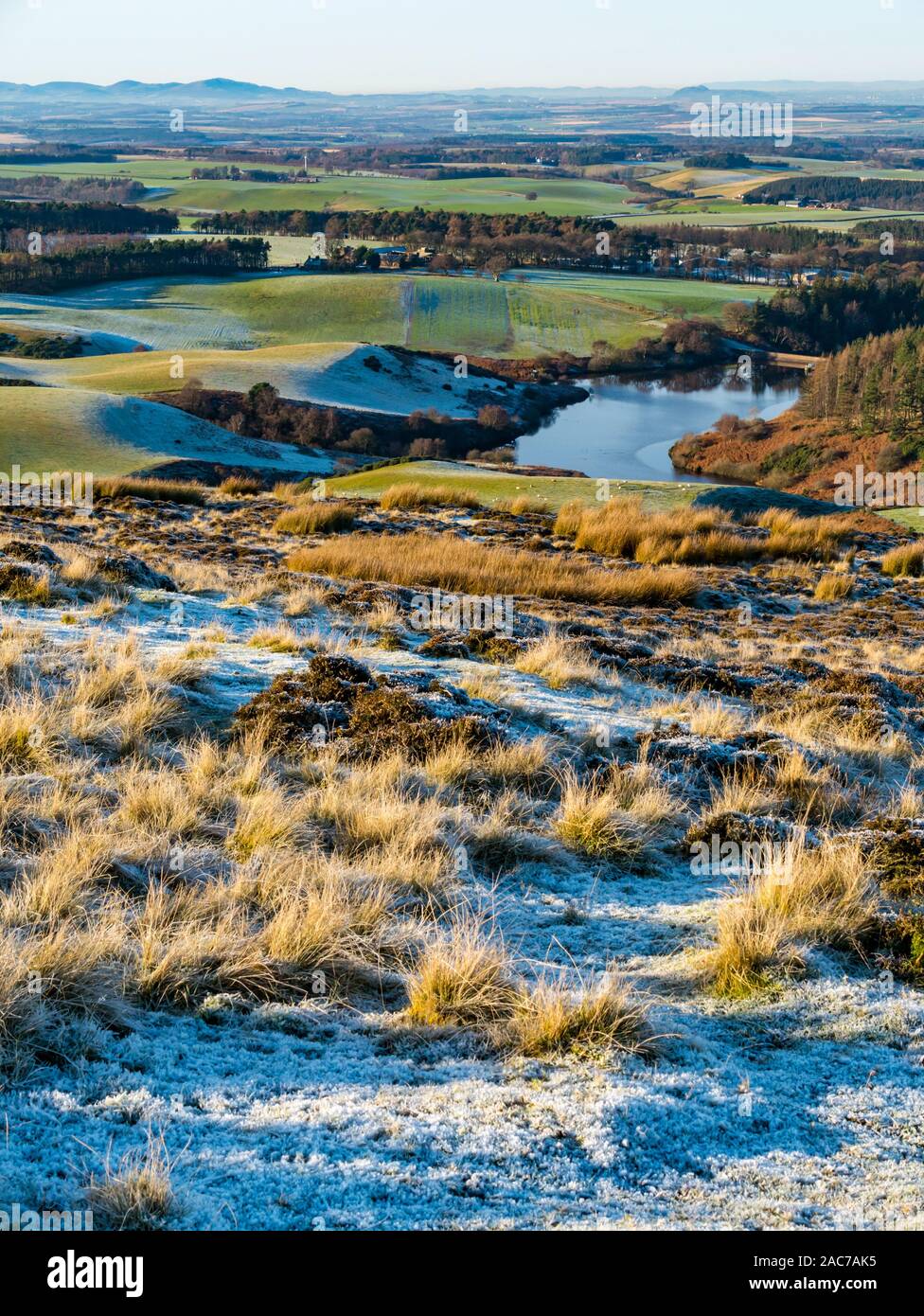 Heather hill coperto di brina con vista da Lammermuir colline che si affacciano su serbatoio, East Lothian, Scozia, Regno Unito Foto Stock