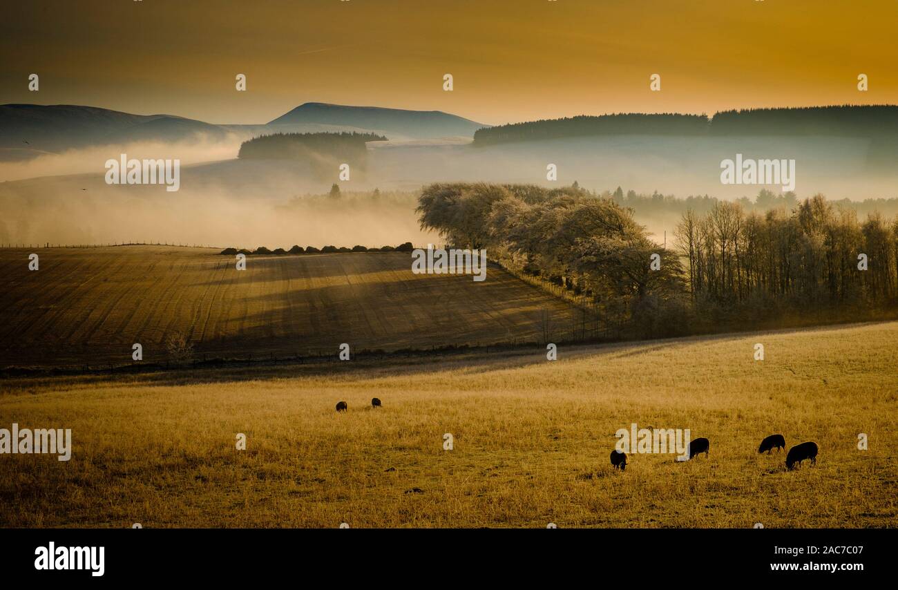 Drammatico paesaggio invernale in South Lanarkshire, Scozia Foto Stock