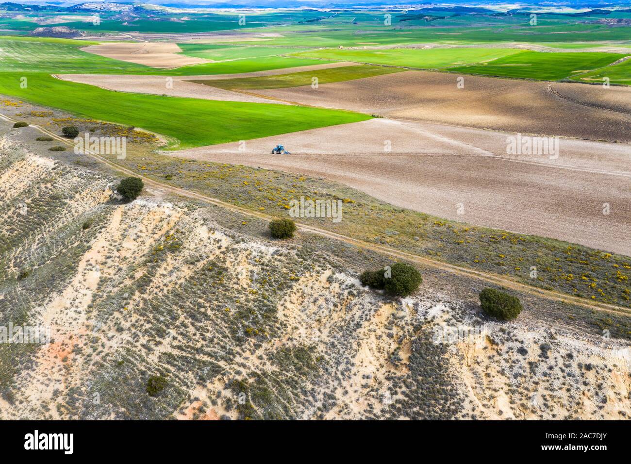 Area agricola. Navarra, Foto Stock