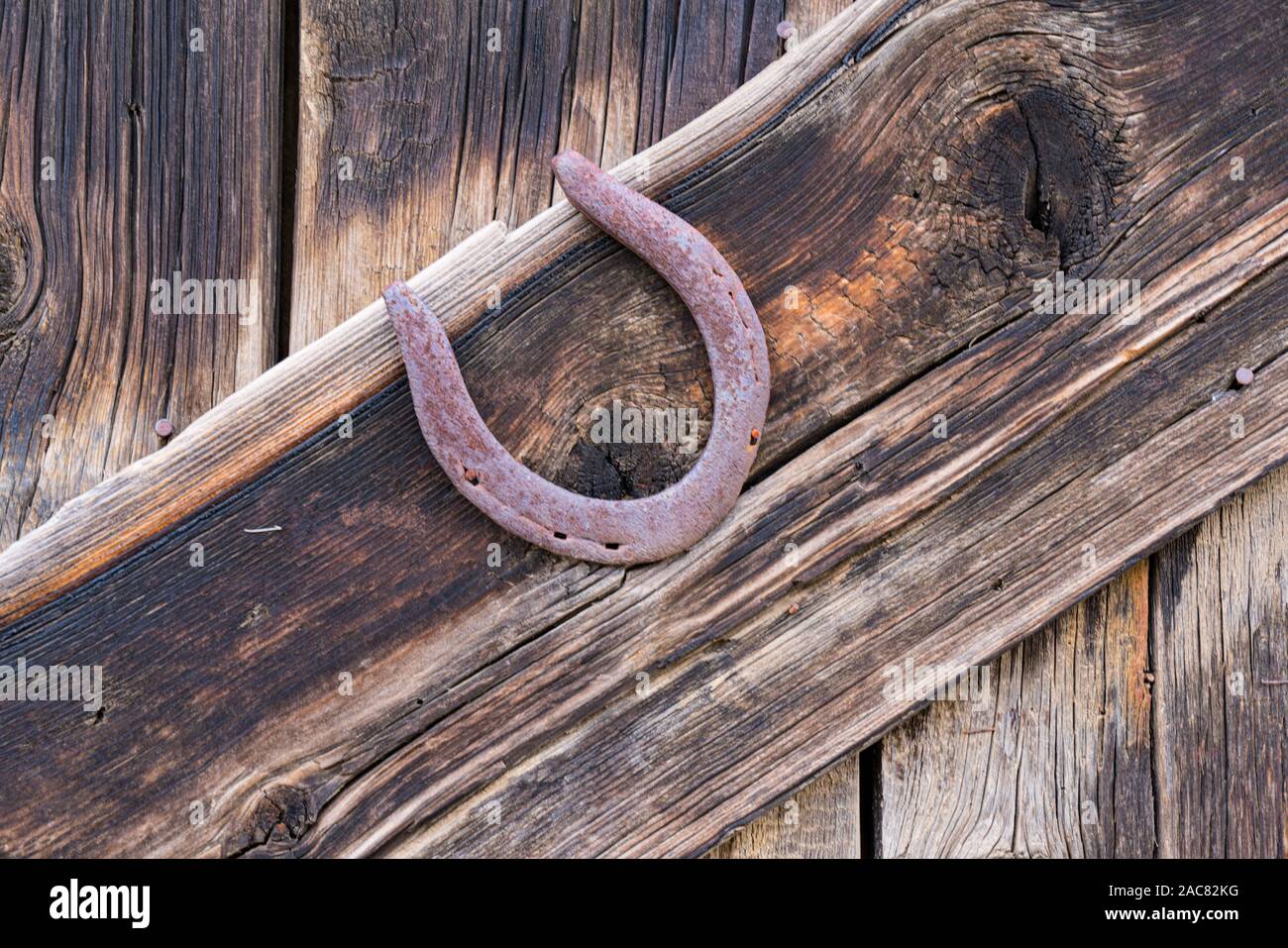 Vecchio arrugginito ferri di cavallo inchiodati in un legno stagionato muro del granaio Foto Stock