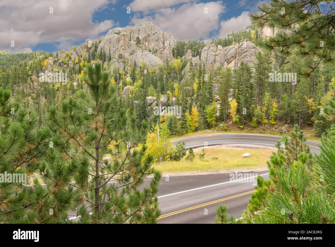 Strada tortuosa lungo gli aghi in autostrada in Black Hills del Dakota del Sud Foto Stock