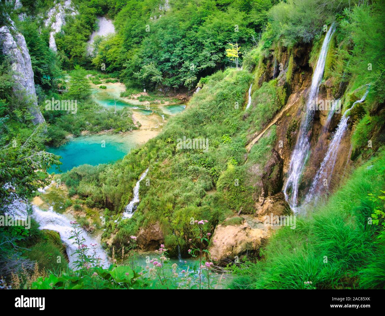Paradiso nel parco dei laghi di Plitvice, Croazia Foto Stock