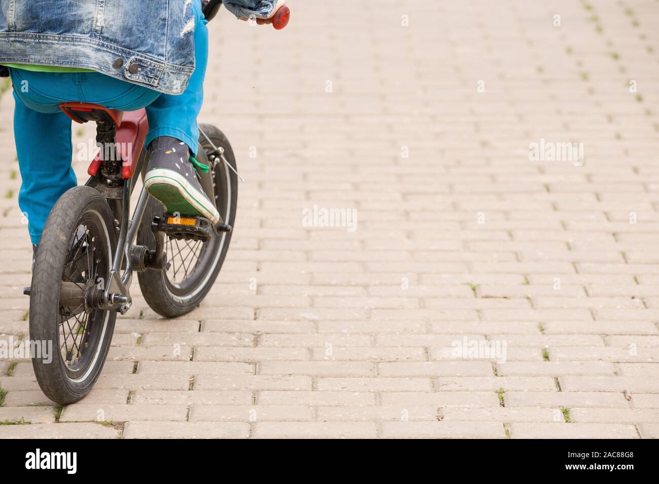 Vista posteriore su un capretto boy a cavallo di una piccola bicicletta nel parco. Bambino sulla bici su strada asfaltata. Attività per bambini all'aperto. Foto Stock