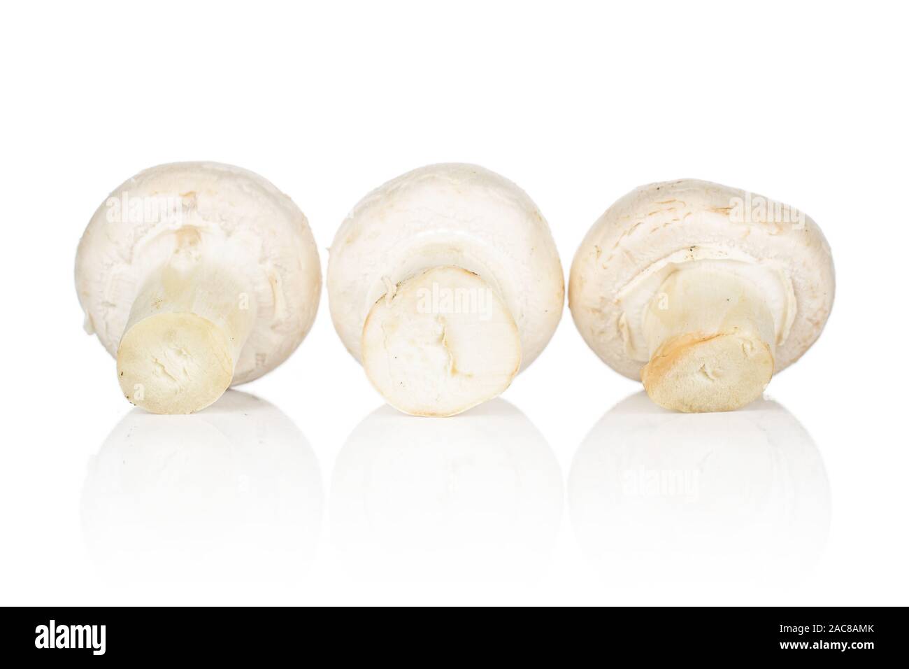 Gruppo di tre intere fresche bianco champignon isolati su sfondo bianco Foto Stock