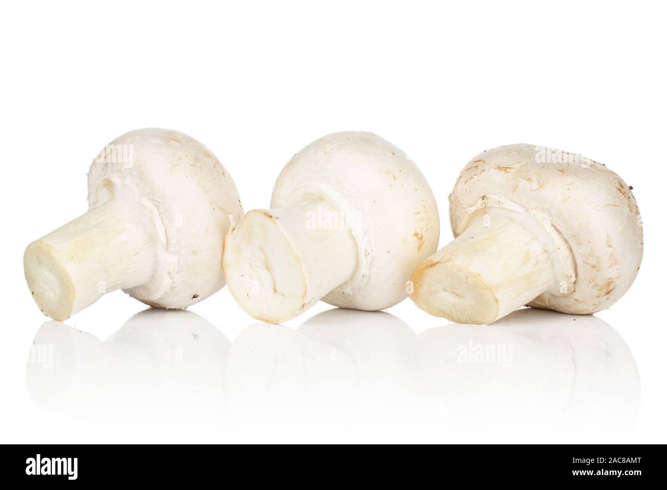 Gruppo di tre intere fresche bianco champignon isolati su sfondo bianco Foto Stock