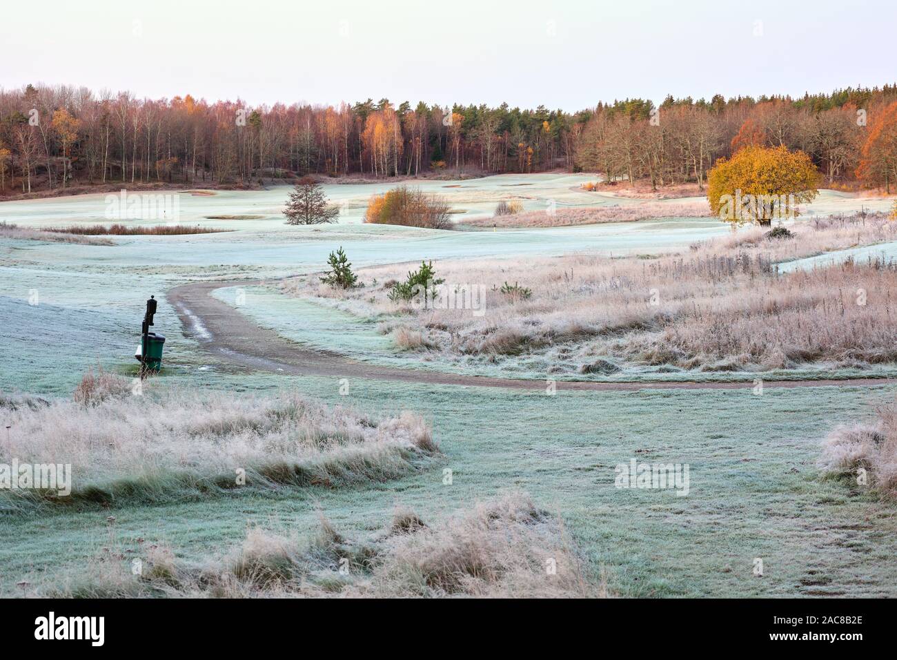 Askrike Golf Club nel corso di un inizio di inverno mattina vicino Bogesund, Vaxholm, Svezia Foto Stock