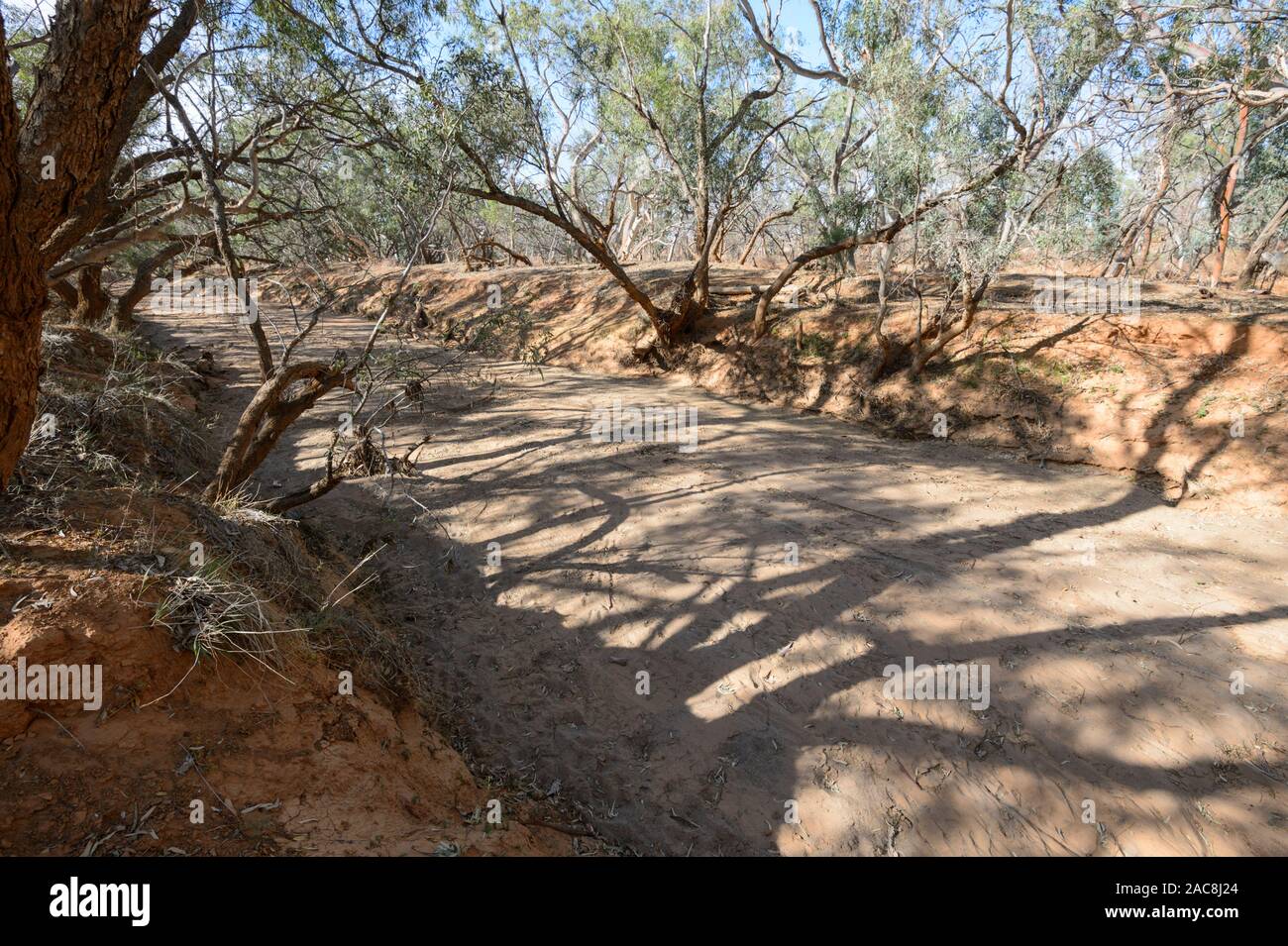 Essiccato creek o riverbed in arido entroterra a Milparinka, Nuovo Galles del Sud, NSW, Australia Foto Stock