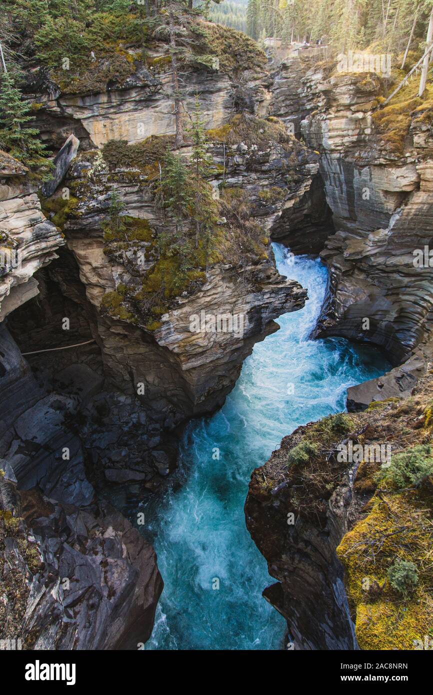 Parco Nazionale di Jasper Canada Cascate Athabasca River Foto Stock