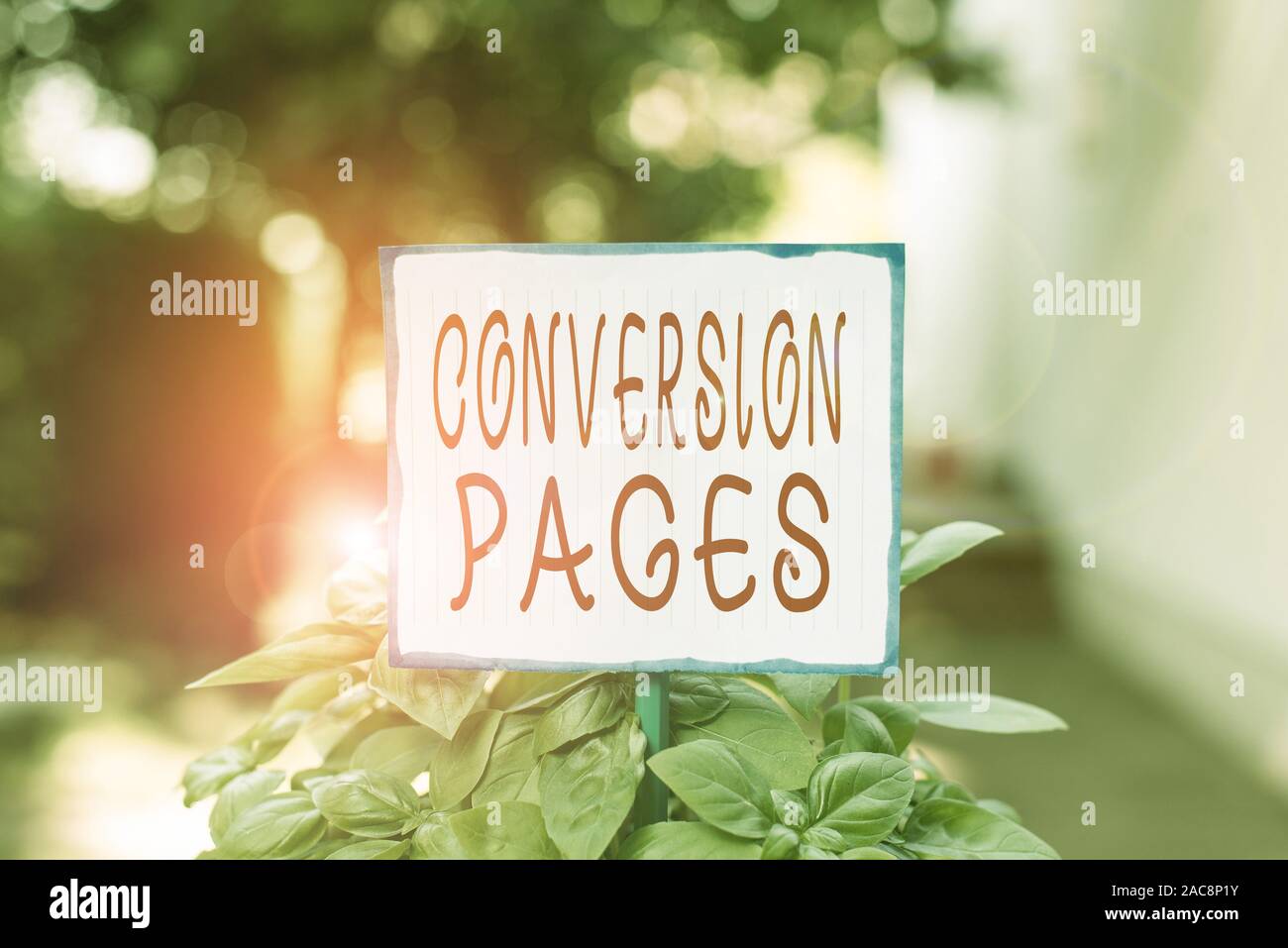 La scrittura della nota che mostra le pagine di conversione. Il concetto di business per compare in risposta al clic su un motore di ricerca per carta normale attaccato al bastone e luogo Foto Stock