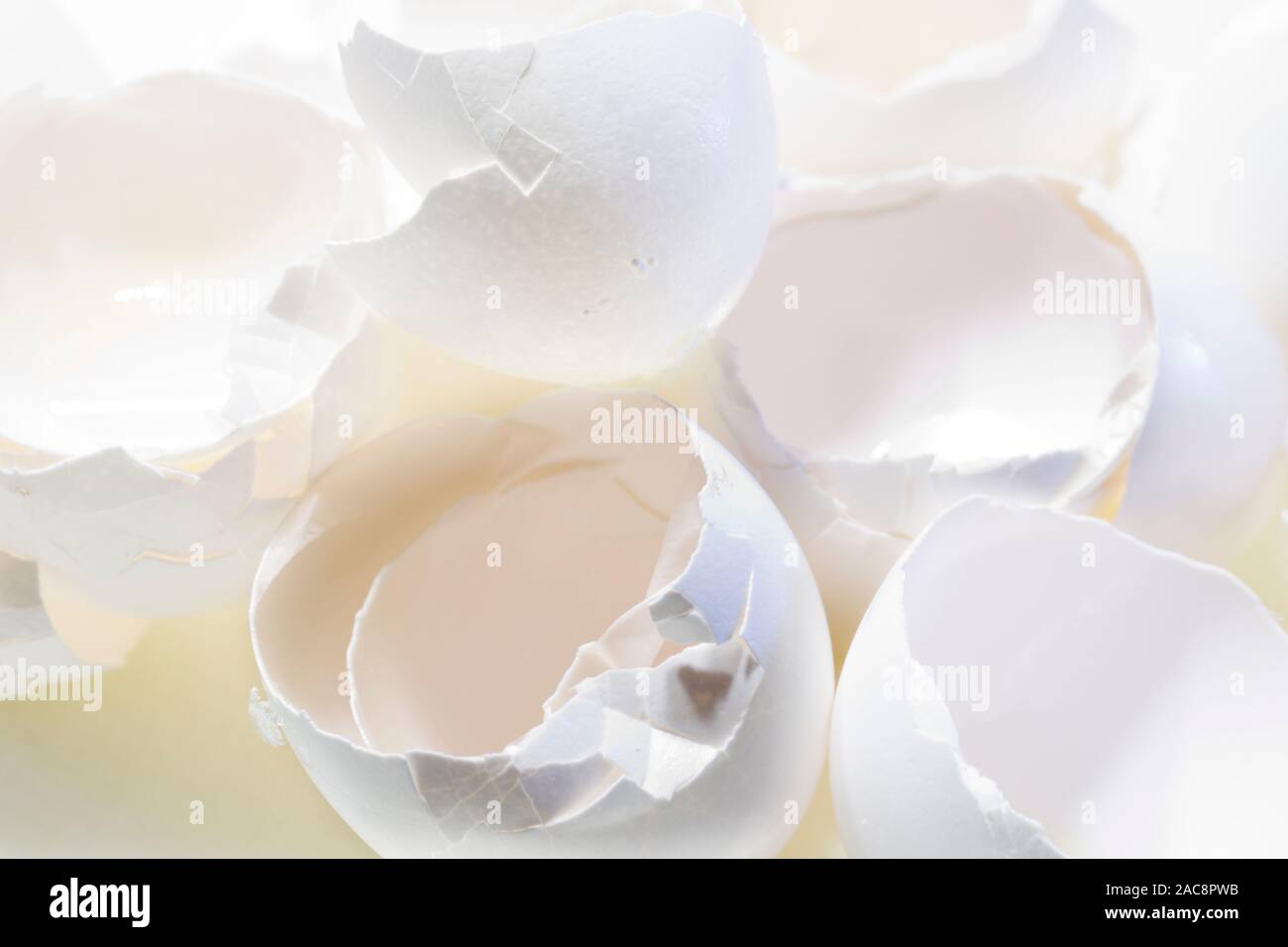 Close up foto di rotture di gusci delle uova. Foto Stock