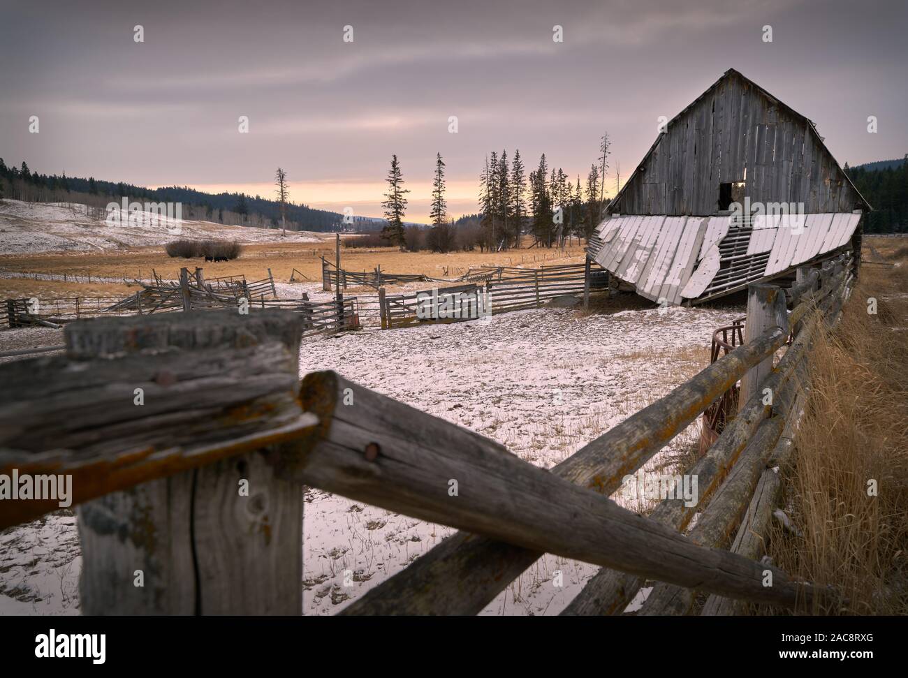Inverno Ranch Nicola Valley Merritt. Un vecchio fienile spiovente in Nicola Valley, British Columbia, Canada. Foto Stock