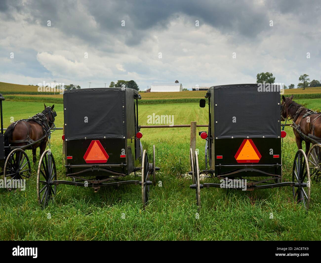 Amish buggy al Juniata produrre asta, un Amish mercato all'ingrosso in Mifflintown, Juniata County, Pennsylvania, STATI UNITI D'AMERICA Foto Stock