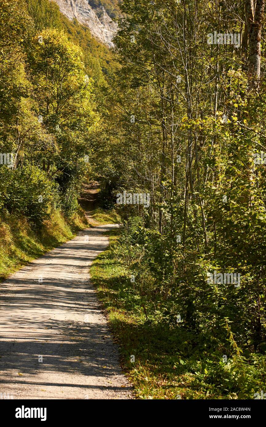 Una strada di campagna nei pressi di Entracque, Cuneo, Piemonte, Italia Foto Stock