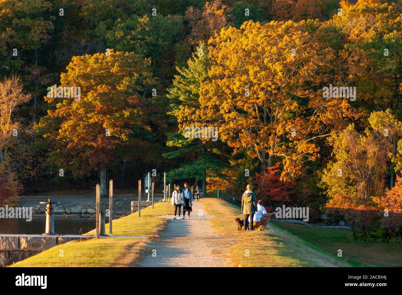 Persone che si godono una passeggiata su una diga di terra, sotto una luce del tramonto. Vibrante autunno fogliame di una foresta mista sullo sfondo. Hopkinton state Park, Massachusetts, Stati Uniti Foto Stock