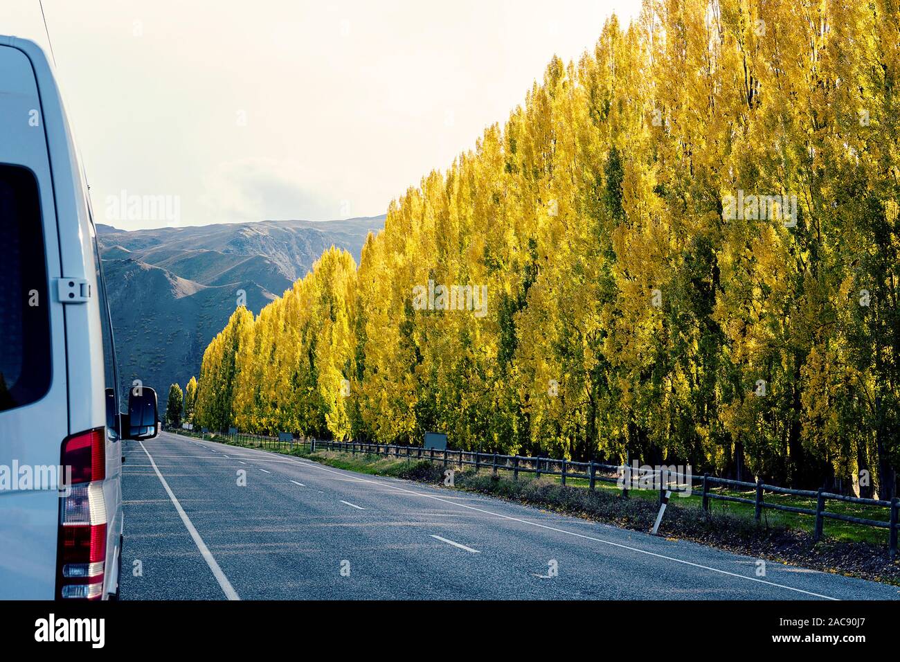 Un furgone parcheggiato a fianco di un'autostrada foderato con il giallo oro sugli alberi di pioppo con fogliame di autunno Foto Stock