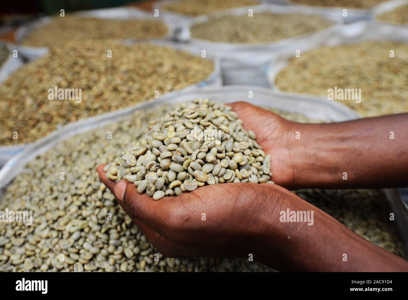 Chicchi verdi di caffè in vendita presso il mercato in Etiopia ad Addis Abeba. Foto Stock