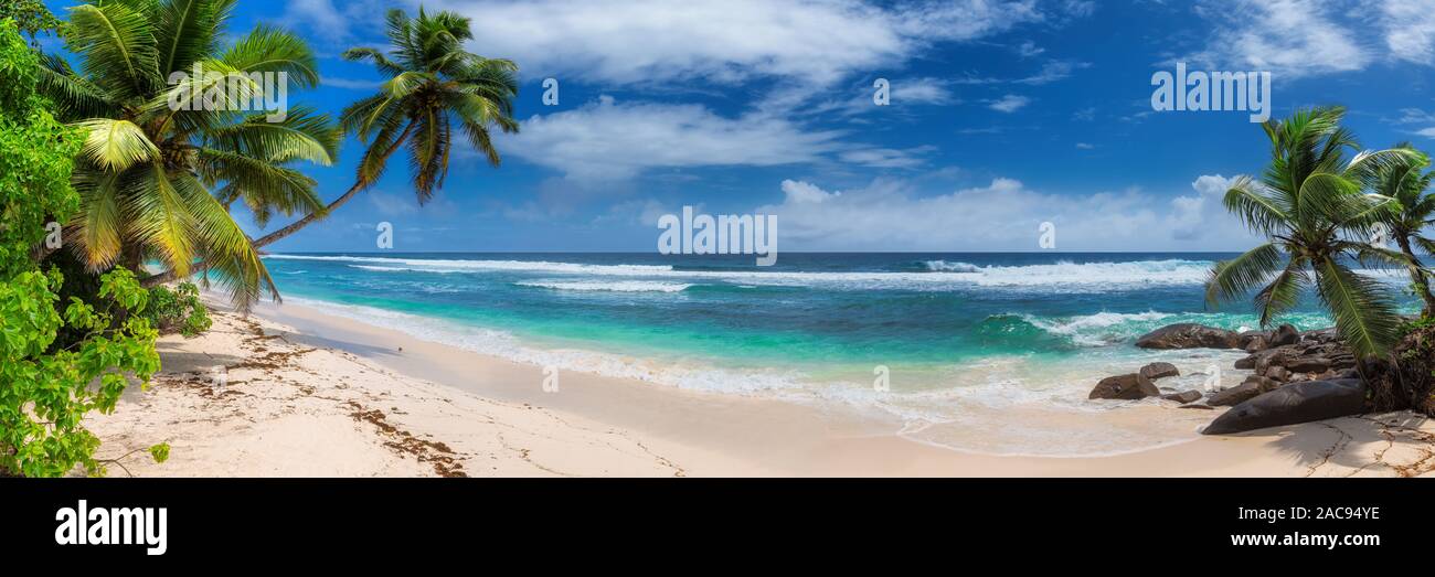 Vista panoramica di esotica spiaggia tropicale Foto Stock