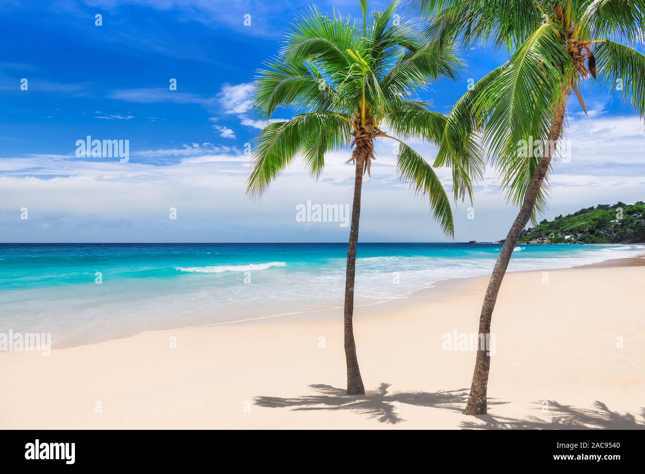 Palme sulla spiaggia di sole e mare turchese in isola dei Caraibi. Foto Stock