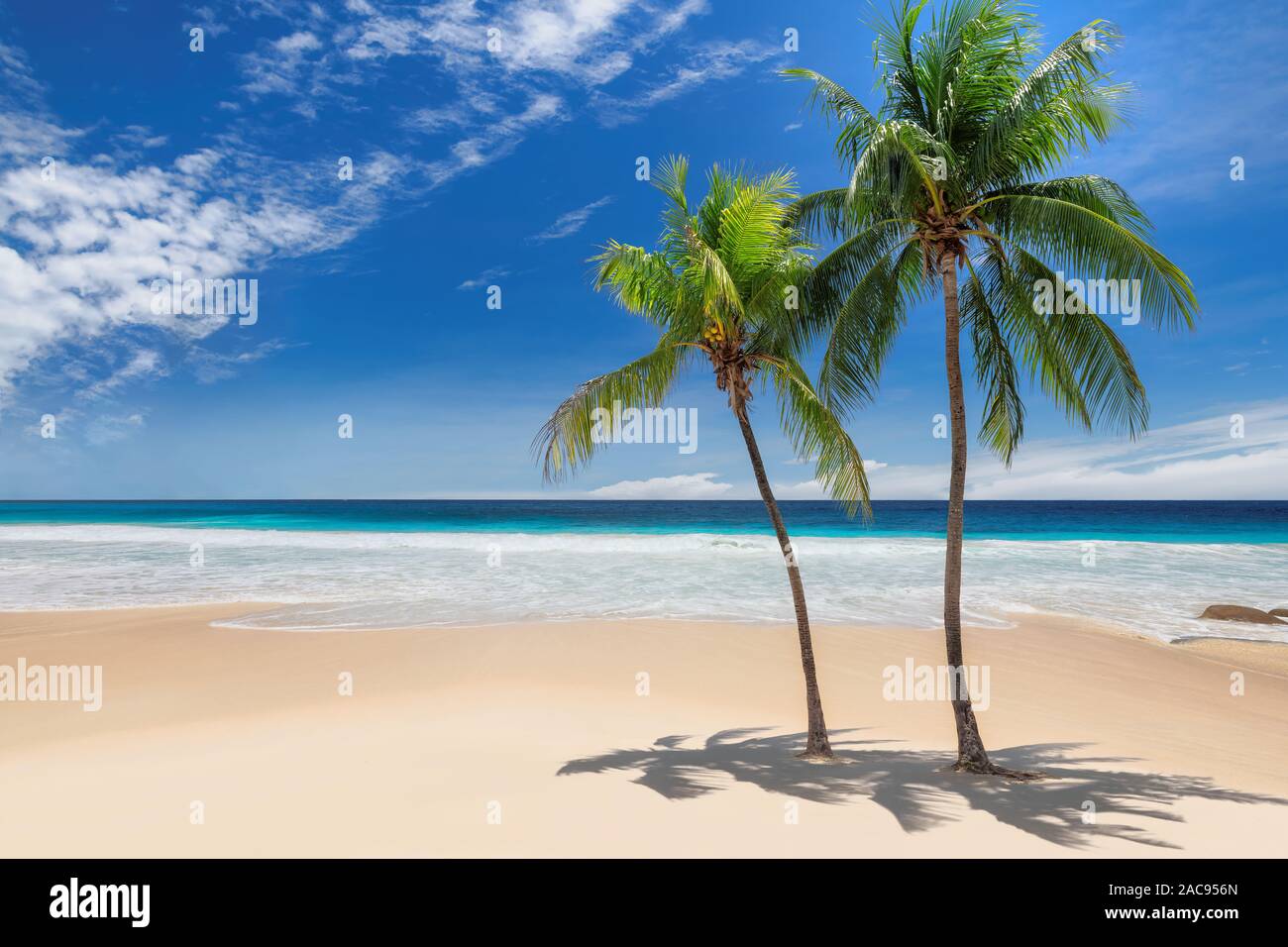Palme sulla spiaggia di sole e mare turchese in isola dei Caraibi. Foto Stock