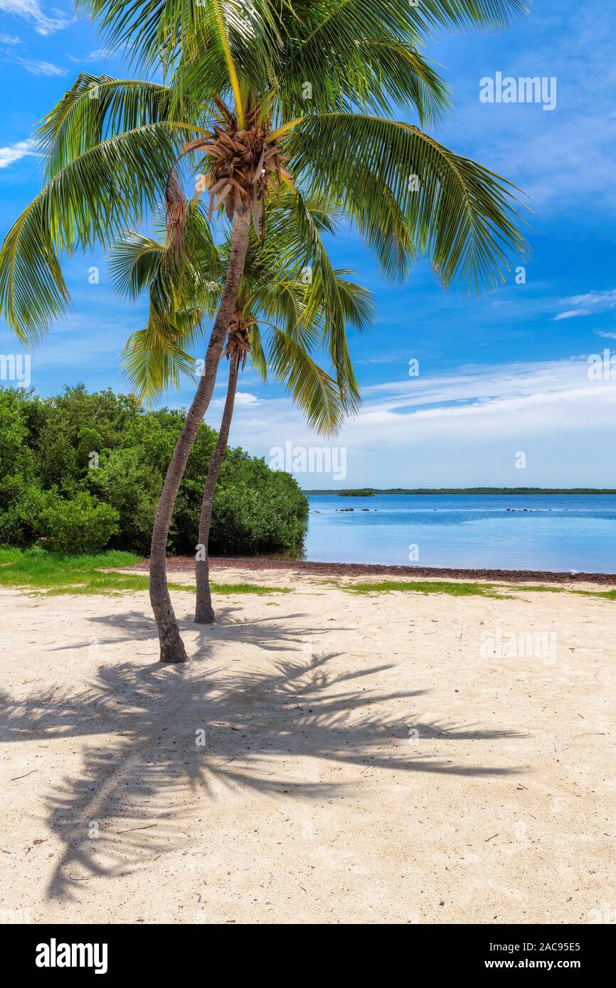 La vacanza estiva spiaggia di Isola tropicale Foto Stock