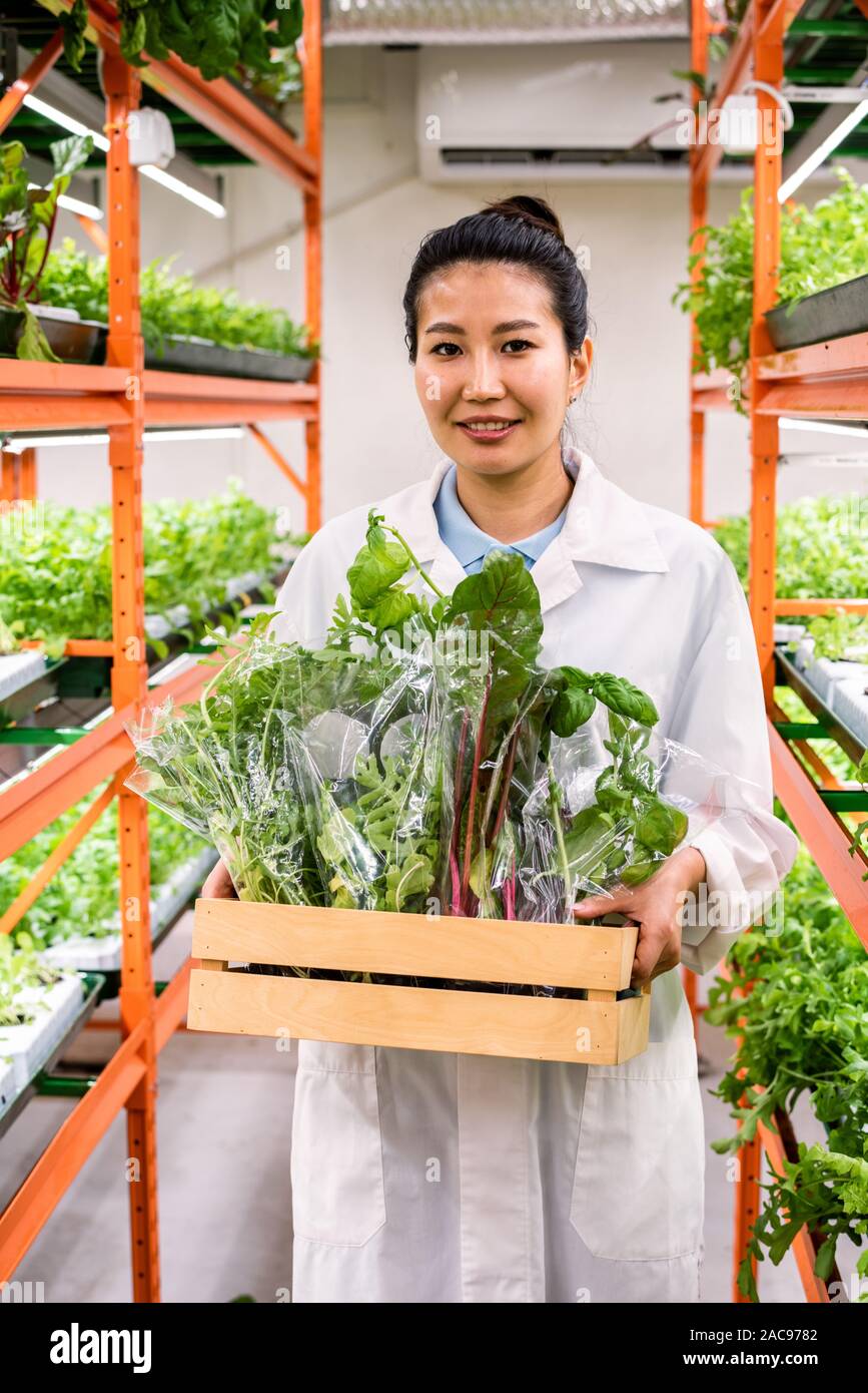 Felice giovani asiatici agronomo che trasportano fresco confezionato cibo organico in una scatola di legno Foto Stock