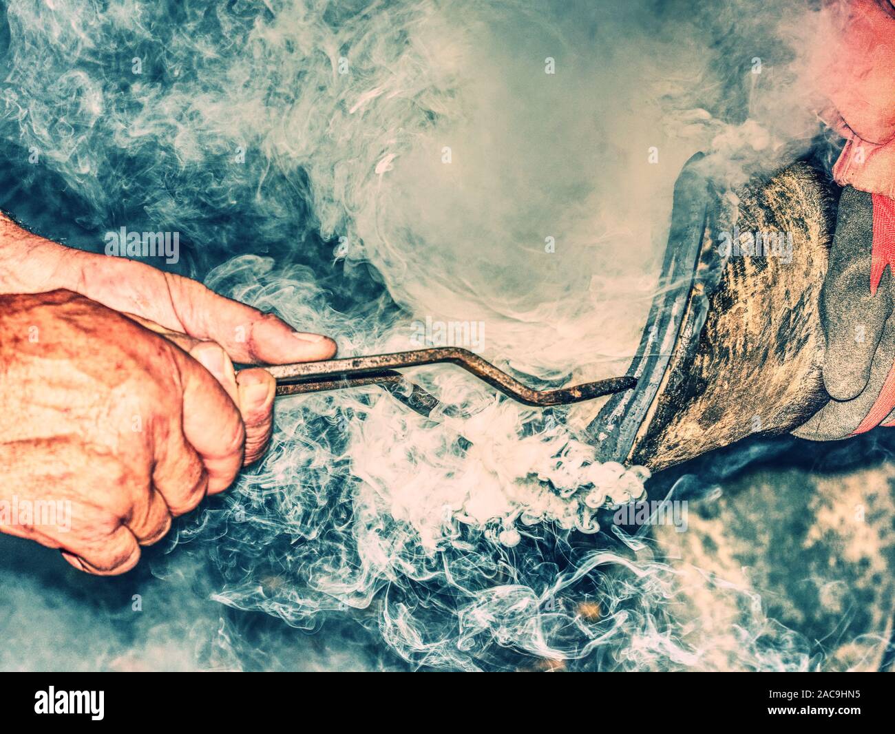 Fabbro tenere il ferro di cavallo in lunghe pinze curve su zoccolo. La masterizzazione di forma e precisa adatta a ferro di cavallo. Foto Stock