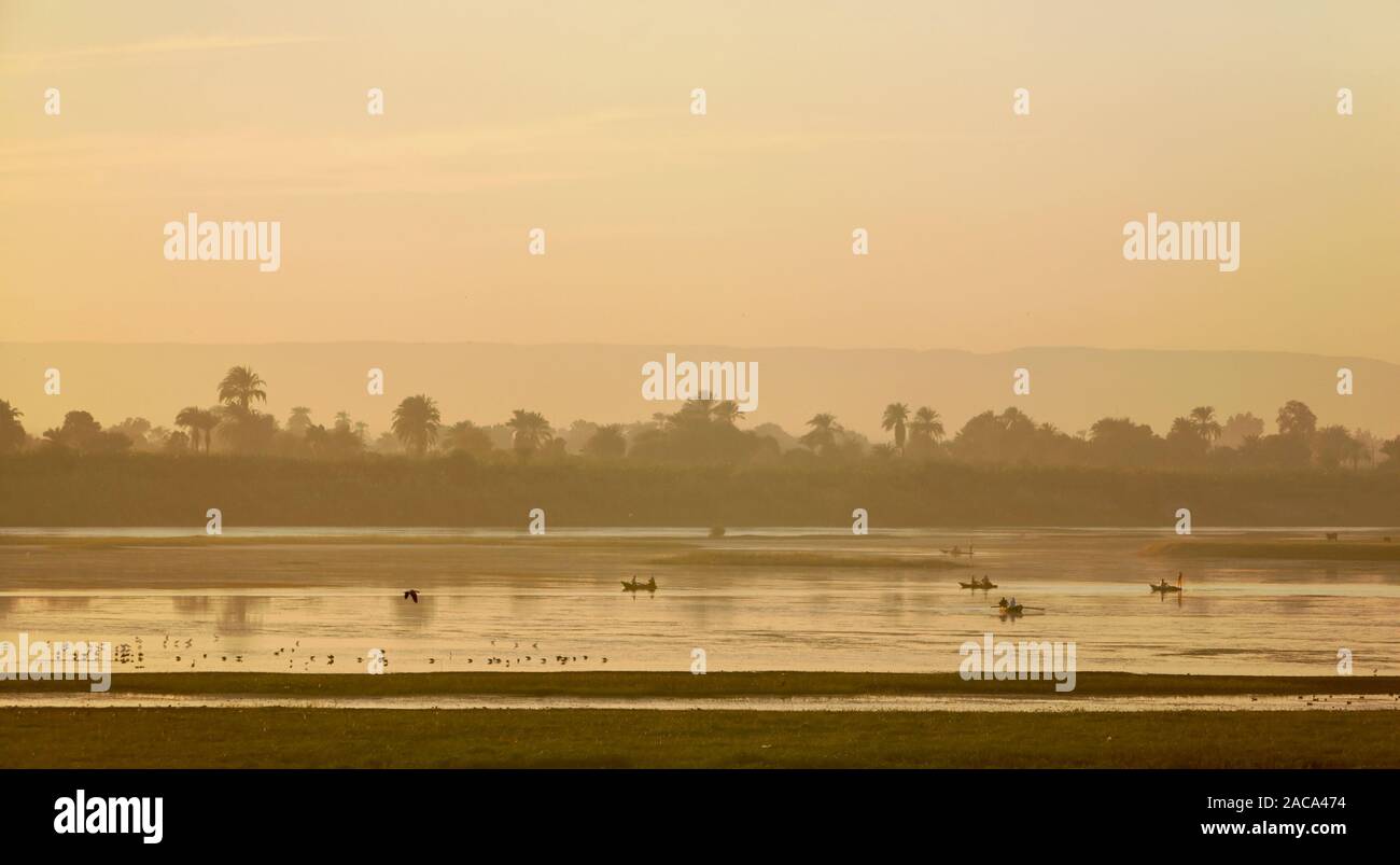 Atmosfera serale sul Nilo Foto Stock