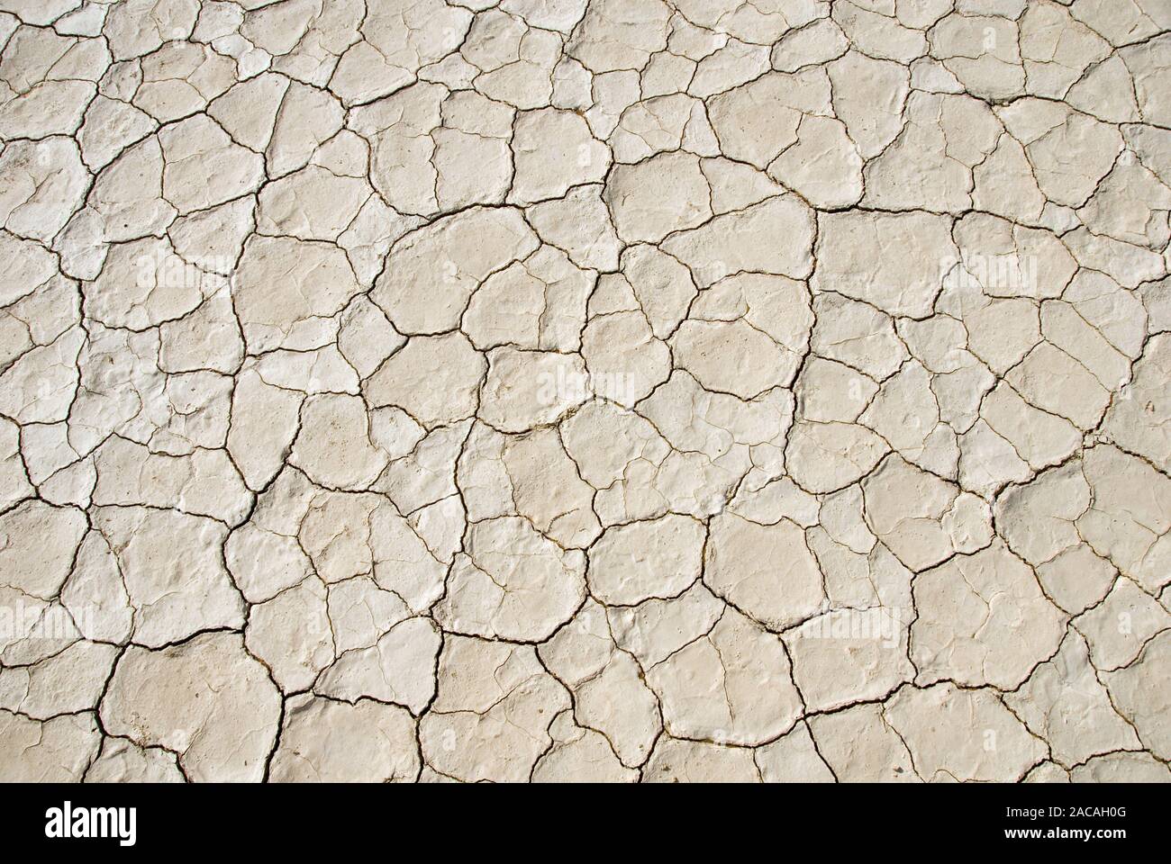 vaschetta del sale Foto Stock