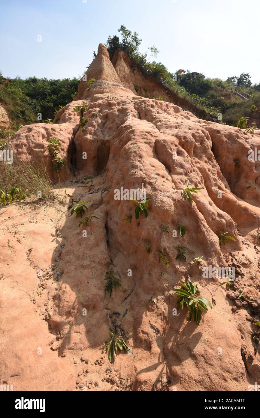 Anfratti Gangani presso la banca del fiume Shilabati o Shilai in Garbeta, West Bengal, India. Foto Stock