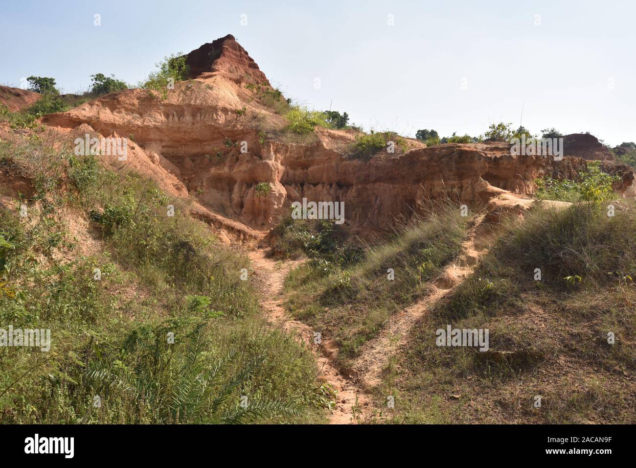 Anfratti Gangani presso la banca del fiume Shilabati o Shilai in Garbeta, West Bengal, India. Foto Stock